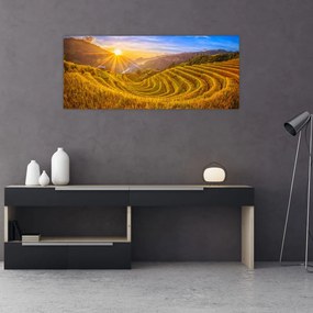 Tablou - Terasele de orez din Vietnam (120x50 cm)