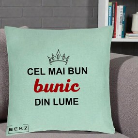 Cadou pentru Bunic - Perna Personalizata Cel Mai Bun Bunic Din Lume Coroana Rosu, 40x40 cm, Verde Menta, Husa Detasabila, Perna Inclusa, BEKZ®