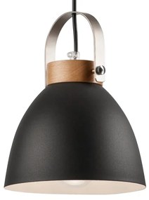 Lustr pe cablu DANIELLE 2xE27/60W/230V