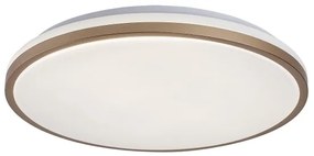 Rabalux 75058 - Plafonieră LED pentru baie SLAVA, 18 W, 230 V, IP44, Ø 34 cm