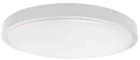 Plafonieră LED pentru baie LED/24W/230V 4000K IP44 albă