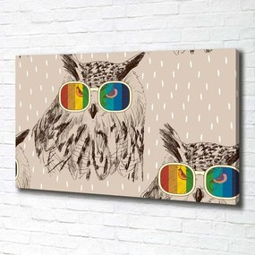 Tablou pe pânză canvas Owls ochelari