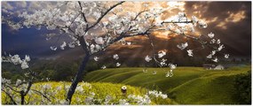 Tablou - Peisaj cu pomul înflorit (120x50 cm)