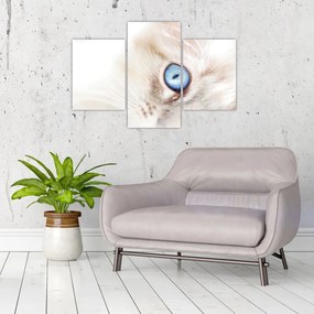 Tablou - Pisicuță (90x60 cm)