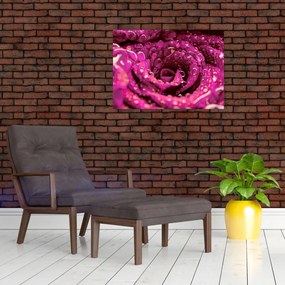 Tabloul cu floarea trandafirului roz (70x50 cm)