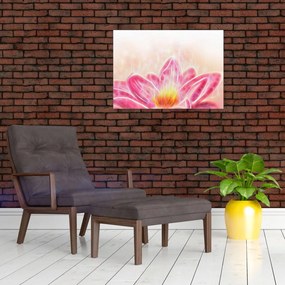 Tablou pe sticlă - Floare de lotus (70x50 cm)