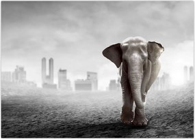 Tablou - Elefanți în oraș, versiunea alb-negru (70x50 cm)