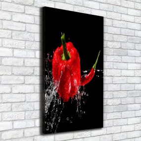 Tablou pe pânză canvas Doi ardei