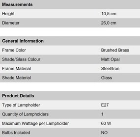 Plafoniera diametru 26cm, Rima shiny brass NU 9-310/26 MS OR