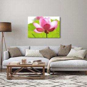 Tablou cu flori de lotus (90x60 cm)