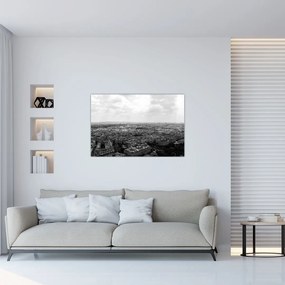 Tablou - Acoperișuri clădirilor din Paris (90x60 cm)