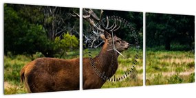 Tablou cu cerb (cu ceas) (90x30 cm)