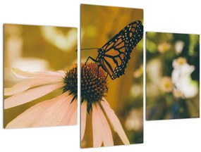 Tablou cu fluture pe floare (90x60 cm)