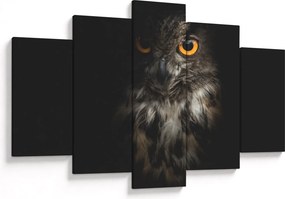 Tablou cu bufnița (150x105 cm)