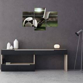 Tablou - Minge de fotbal (90x60 cm)