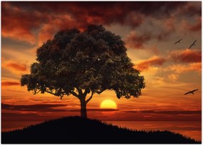 Tablou cu pomi și apus de soare (70x50 cm)