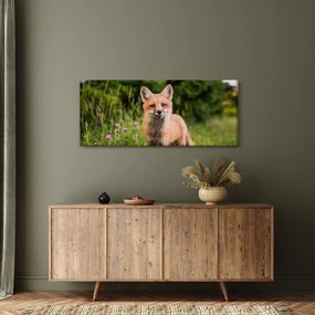 Tablou cu vulpe (120x50 cm)