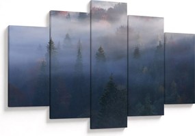 Tablou - Pădure în ceță, Carpați, Ucraina (150x105 cm)