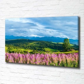 Tablou pe pânză Lavanda în munți