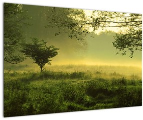 Tablou - Pădurea trezită (90x60 cm)