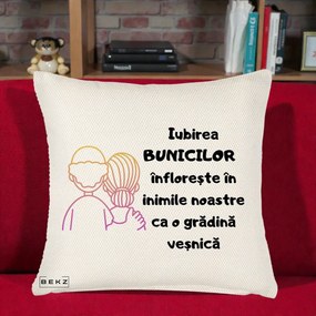 Cadou pentru Bunici - Perna Personalizata Iubirea Bunicilor Infloreste Cuplu Line Art Gradient, 40x40 cm, Crem Reliefat, Husa Detasabila, Perna Inclusa, BEKZ®