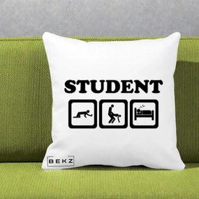 Perna Decorativa Student Life, 40x40 cm, Alba Mata, Husa Detasabila, Perna Inclusa, BEKZ®