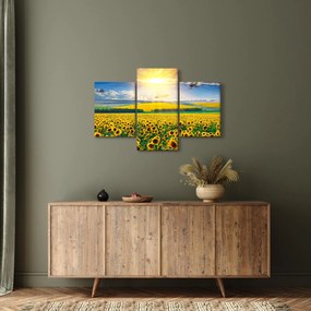 Tablou - Câmp cu floarea soarelui (90x60 cm)