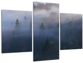 Tablou - Pădure în ceță, Carpați, Ucraina (90x60 cm)