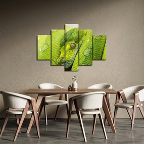 Tablou cu șarpe (150x105 cm)