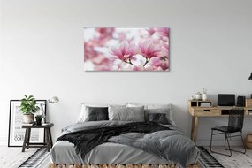 Tablouri canvas copac magnolie