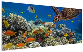 Tablou cu lumea submarină (120x50 cm), în 40 de alte dimensiuni noi