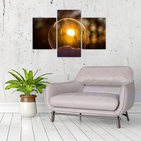 Tablou - Bulă transparentă (90x60 cm)