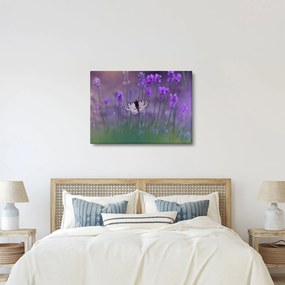 Tablou - fluture în lavandă (70x50 cm)