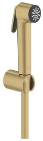 GROHE 27513GN1 - Duș bideu de mână, 1250 mm, auriu