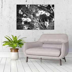 Tablou - Pânza de păianjen în pajiște (90x60 cm)