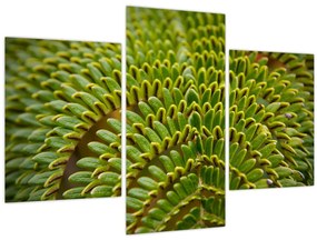 Tablou - Fern (90x60 cm)