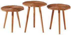 Set măsuțe cafea Totalky (nuc). 1127623