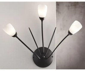 Jupiter 2059 - Aplică de perete GLORIOSA 3xG9/14W/230V, neagră