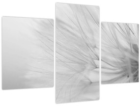 Tablou - Dandelion (90x60 cm)