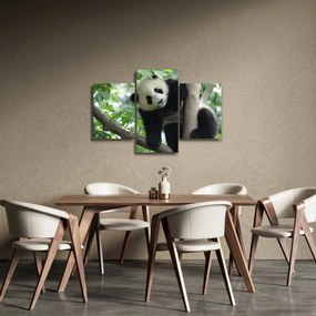 Tablou - Panda in copac (90x60 cm)