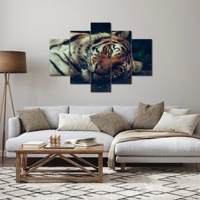 Tablou - Tigrul Siberian (150x105 cm)