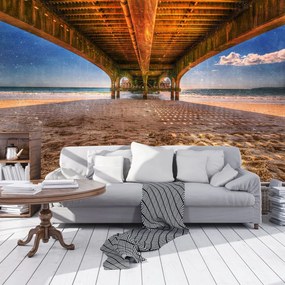 Fototapet - Mol (152,5x104 cm)