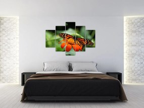Tablou cu fluture pe floare (150x105 cm)