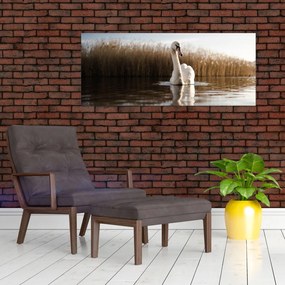 Tablou cu lebăda (120x50 cm)