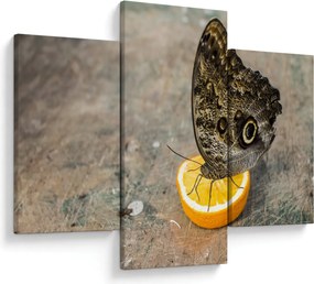 Tablou cu fluturi (90x60 cm)