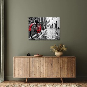 Tablou - Bicicleta roșie pe o stradă pavată (70x50 cm)