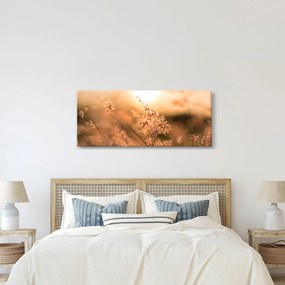 Tablou - Iarbă la soare (120x50 cm)