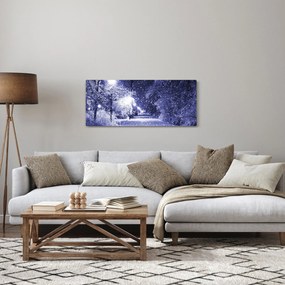 Tablou - Noaptea magică de iarnă (120x50 cm)