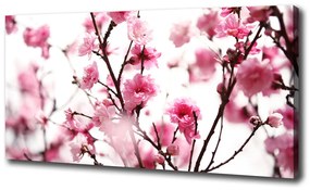 Tablou canvas Prune