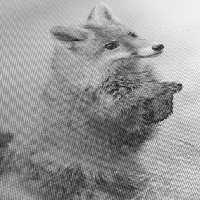 Tablou - Vulpe care sare,alb-negru (70x50 cm)